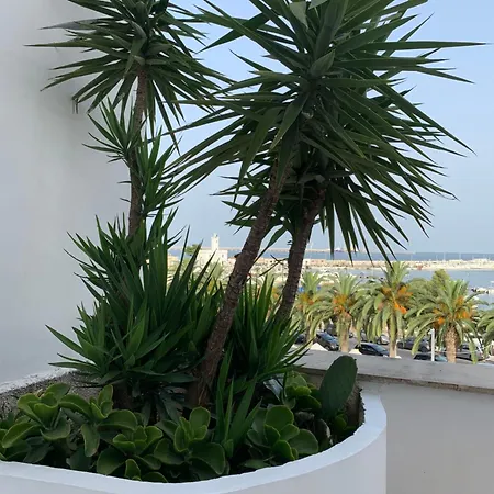 Casa Manfredi Terrazza Diomede Gasthof 4*