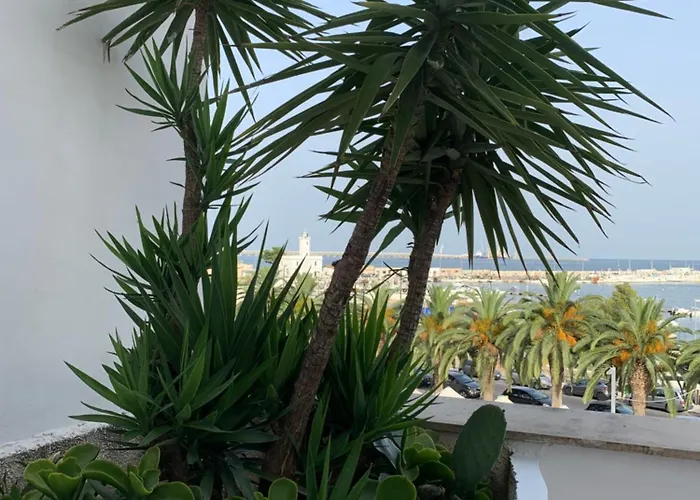 Casa Manfredi Terrazza Diomede 게스트하우스 4*
